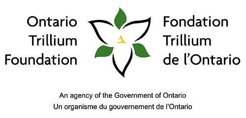 Ontario Trillium Foundation, Programs, DHF Programs