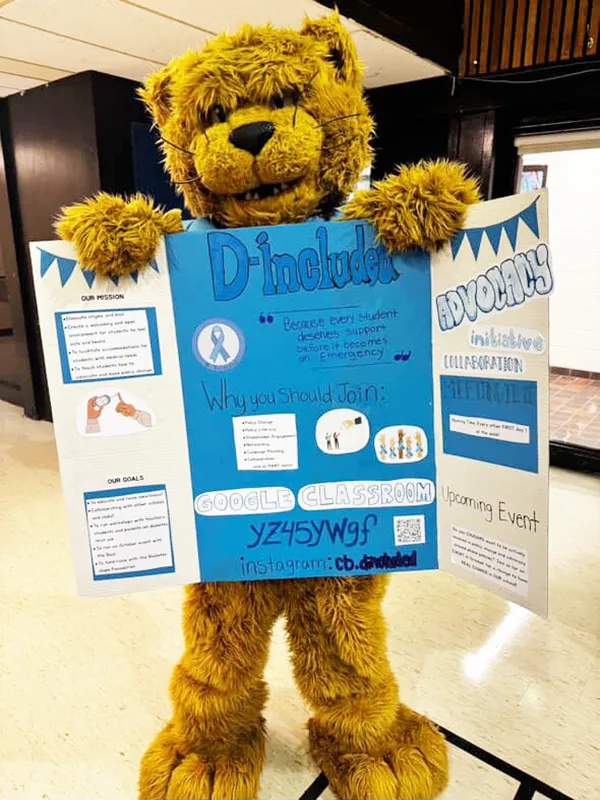 T1D Awareness in schools, blog