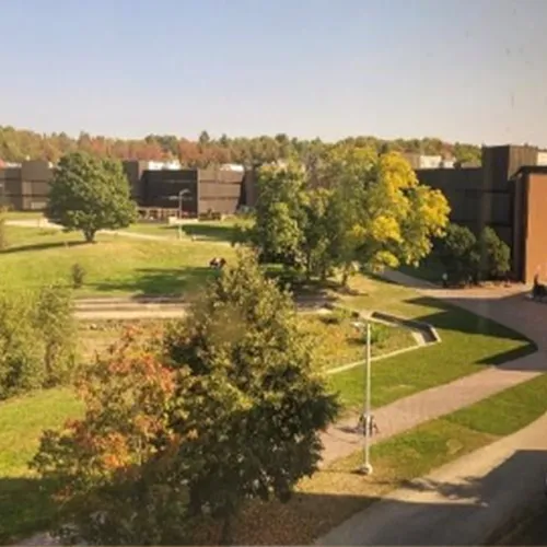 University and type 1 diabetes, blog