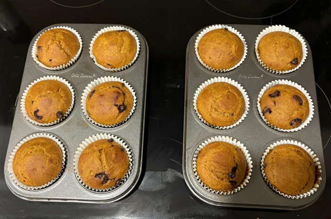 pumpkin chocolate chip muffins